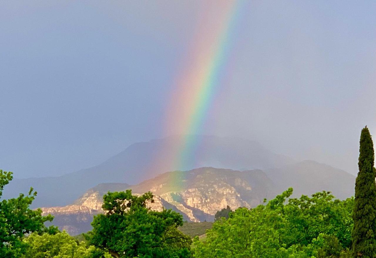 Rainbow Residence Франсхук Экстерьер фото